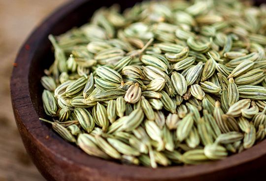 Fenchel