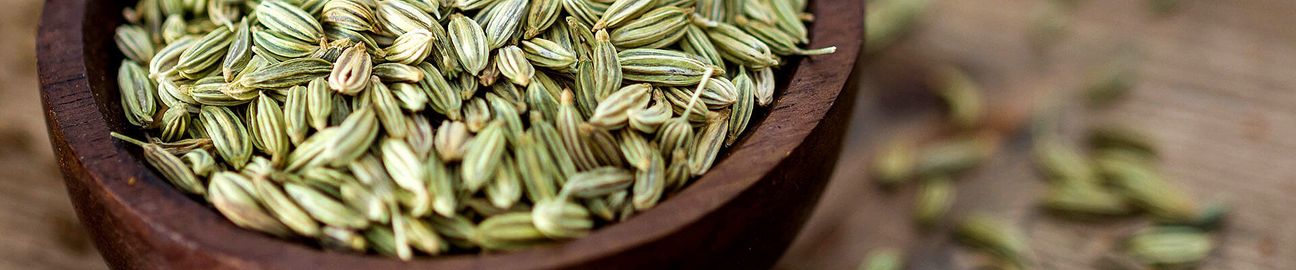 csm_header_Fenchel_1920x400_80d4ab5df3