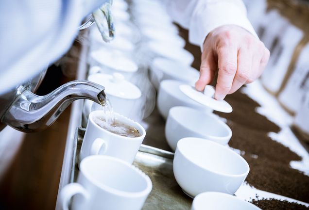 Vorbereitung Teatasting