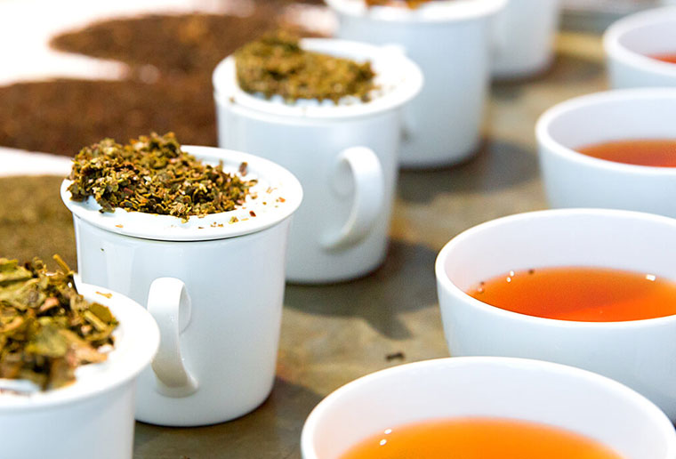 Bünting Tee Teesorten